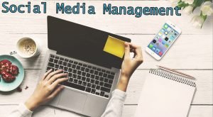 social media management header social media management